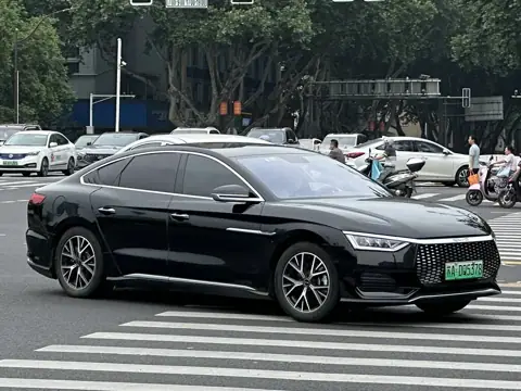 BYD E9, фото 1
