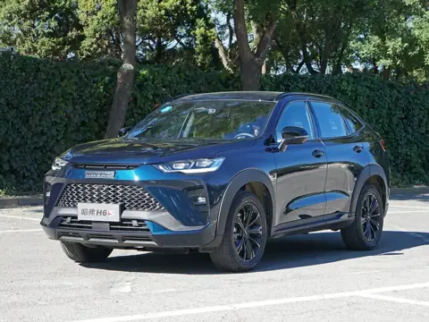 Haval H6S, фото 1