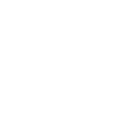 Zotye
