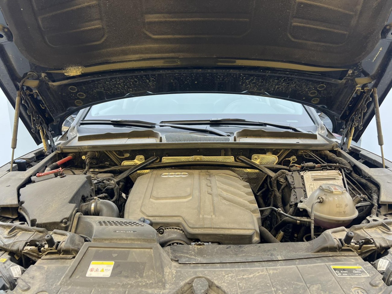 Audi Q5L 40 TFSI 2024