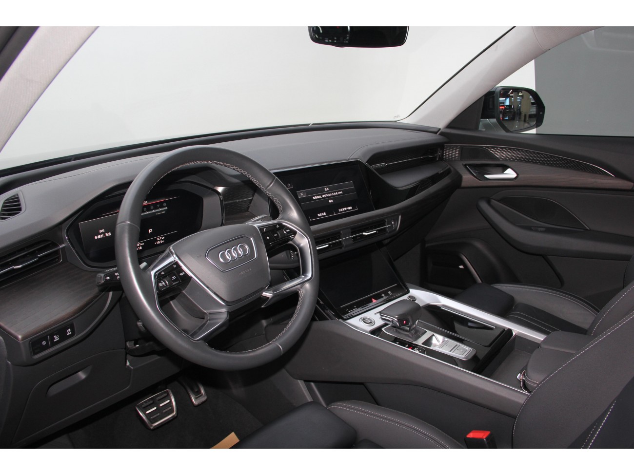 Audi Q6 40 TFSI 2024