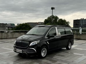 Mercedes-Benz 2021 2022