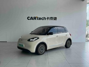 Wuling 2025 2025