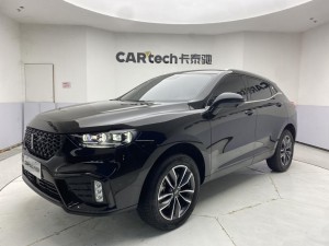 WEY VV5 2020