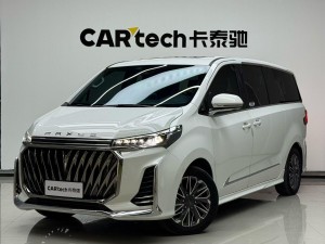 Maxus G20 2023