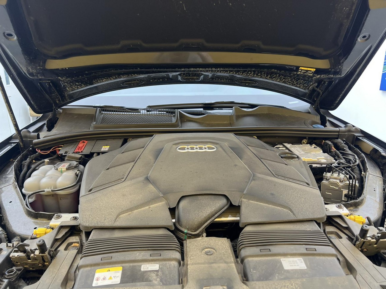 Audi Q7 55 TFSI 2025