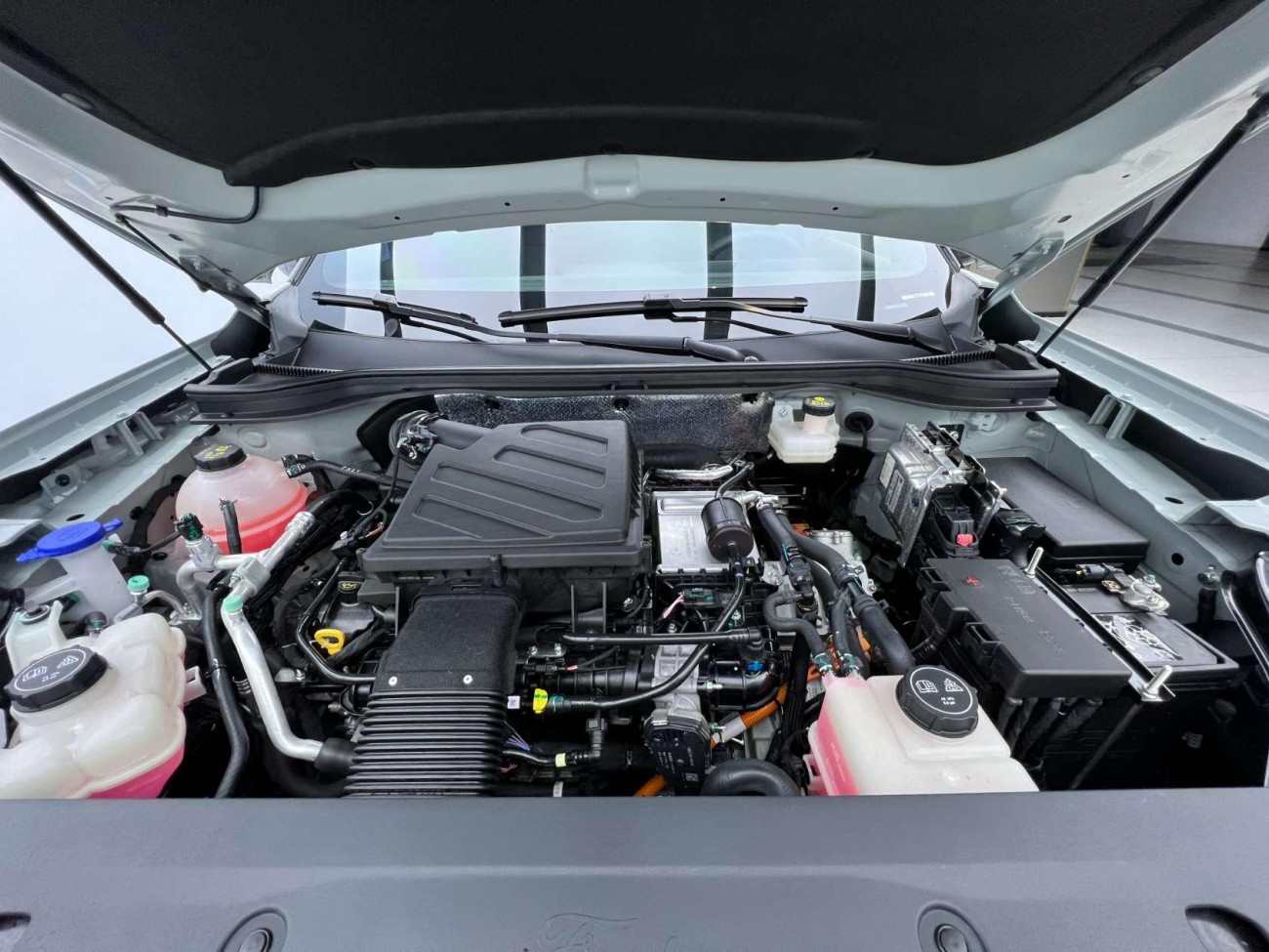 Ford Equator Sport 2025