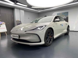 IM Motors L6