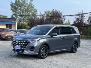 Roewe iMAX8 2024