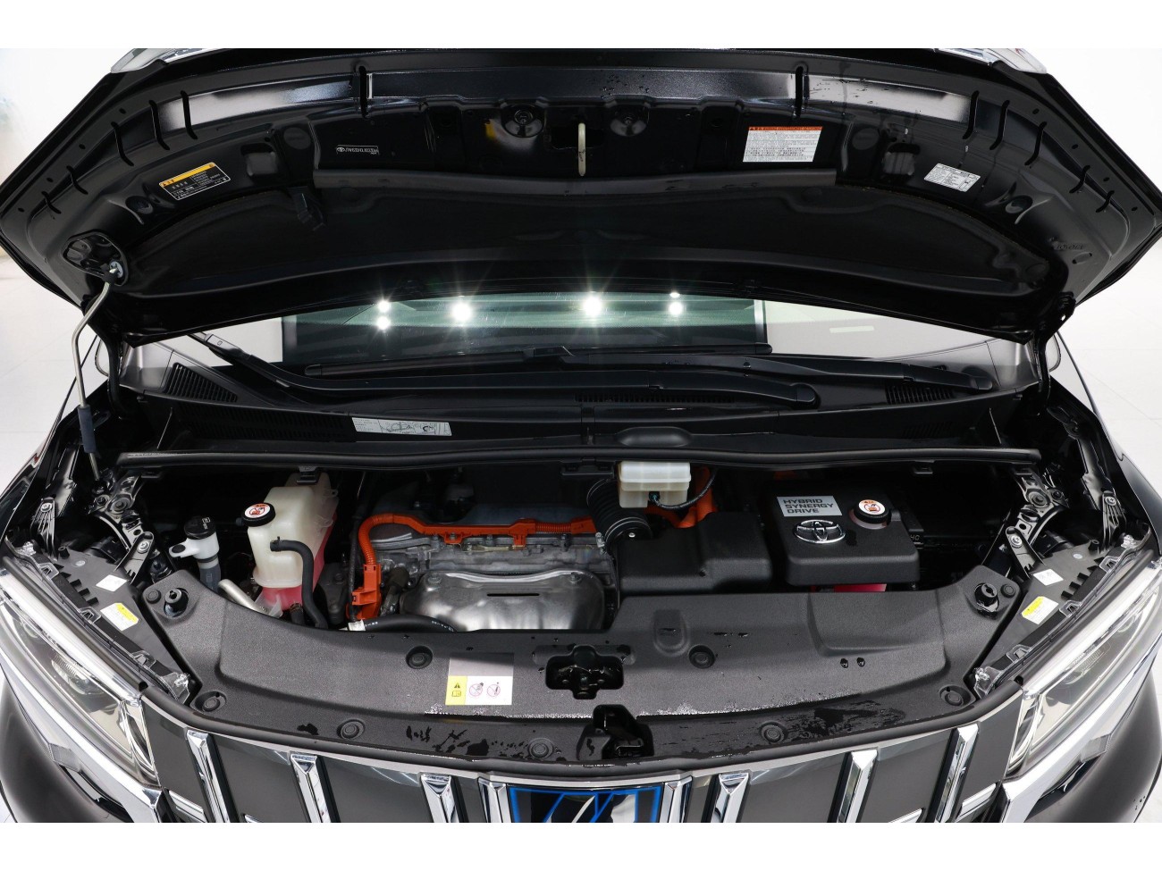 Toyota Alphard 2022