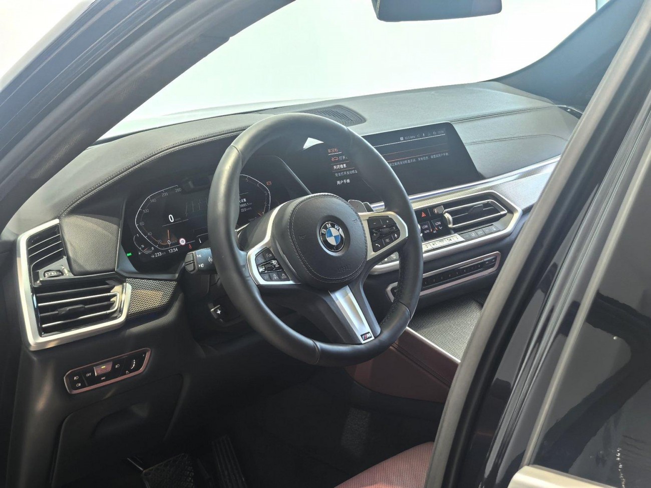 BMW X6 2021
