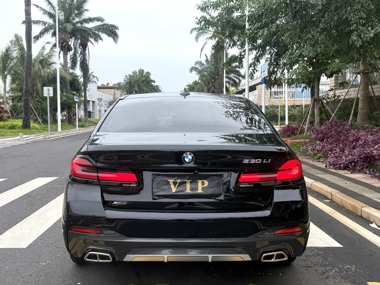 BMW 530Li 2021