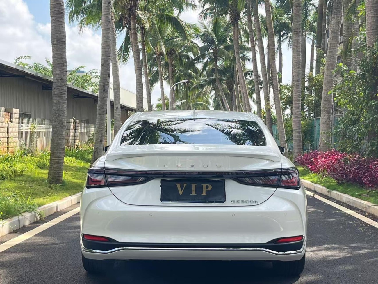 Lexus ES 300h 2025