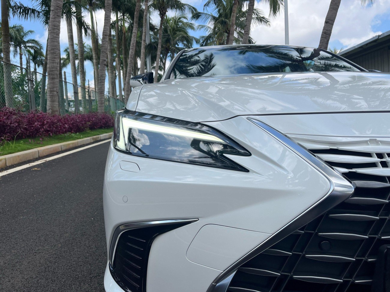 Lexus ES 300h 2025