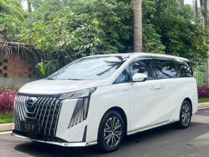 Trumpchi M8 2024