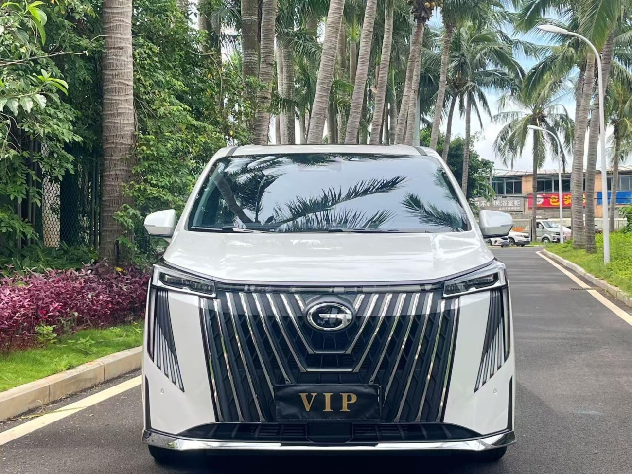Trumpchi M8 2024