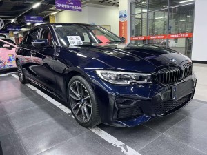 BMW 325Li 2022