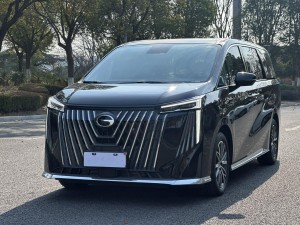 Trumpchi M8 2024