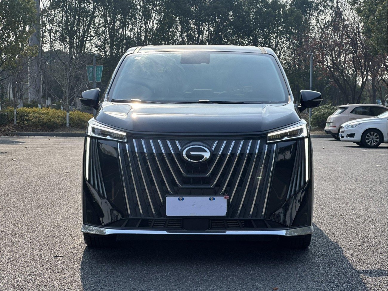 Trumpchi M8 2024