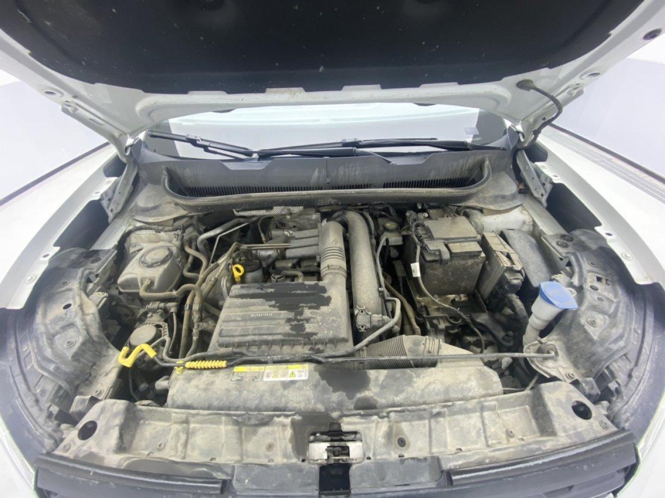 Volkswagen 2023 2024