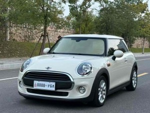 Mini ONE 2019