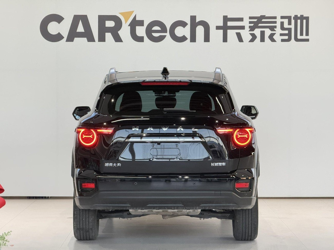 Haval Big Dog 2025