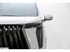 Trumpchi E9 2024