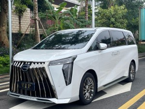 Trumpchi M8 2023