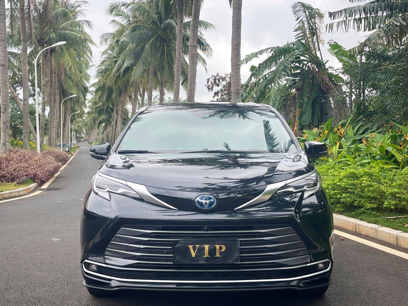 Toyota Sienna 2022