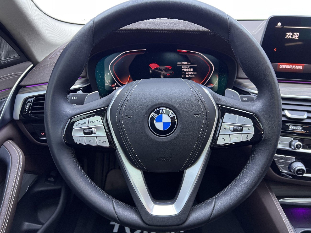 BMW 530Li 2022