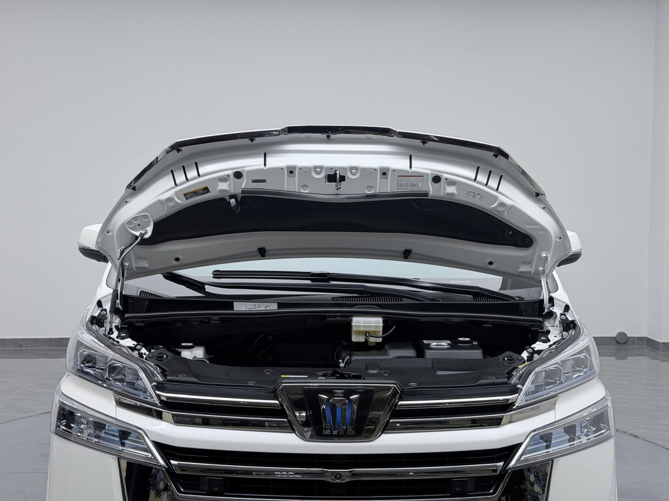 Toyota Alphard 2022