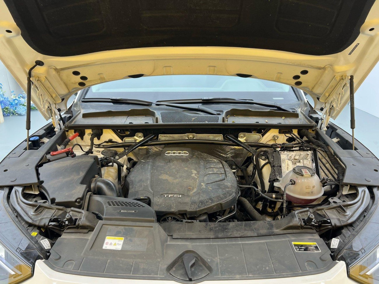 Audi Q5L 45 2023