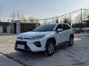 Toyota Wildlander 2022
