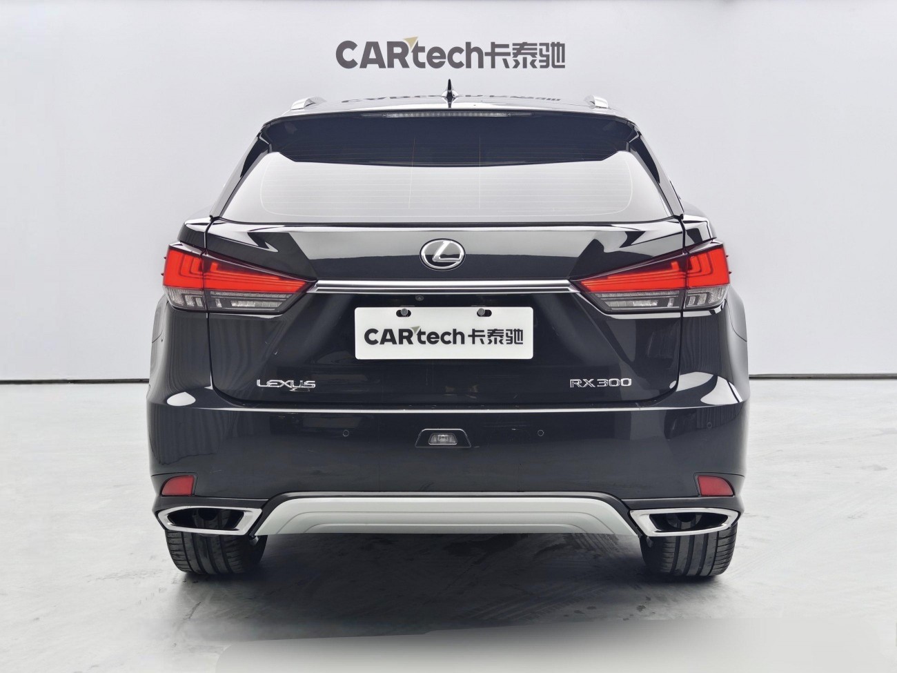 Lexus RX 202 2022
