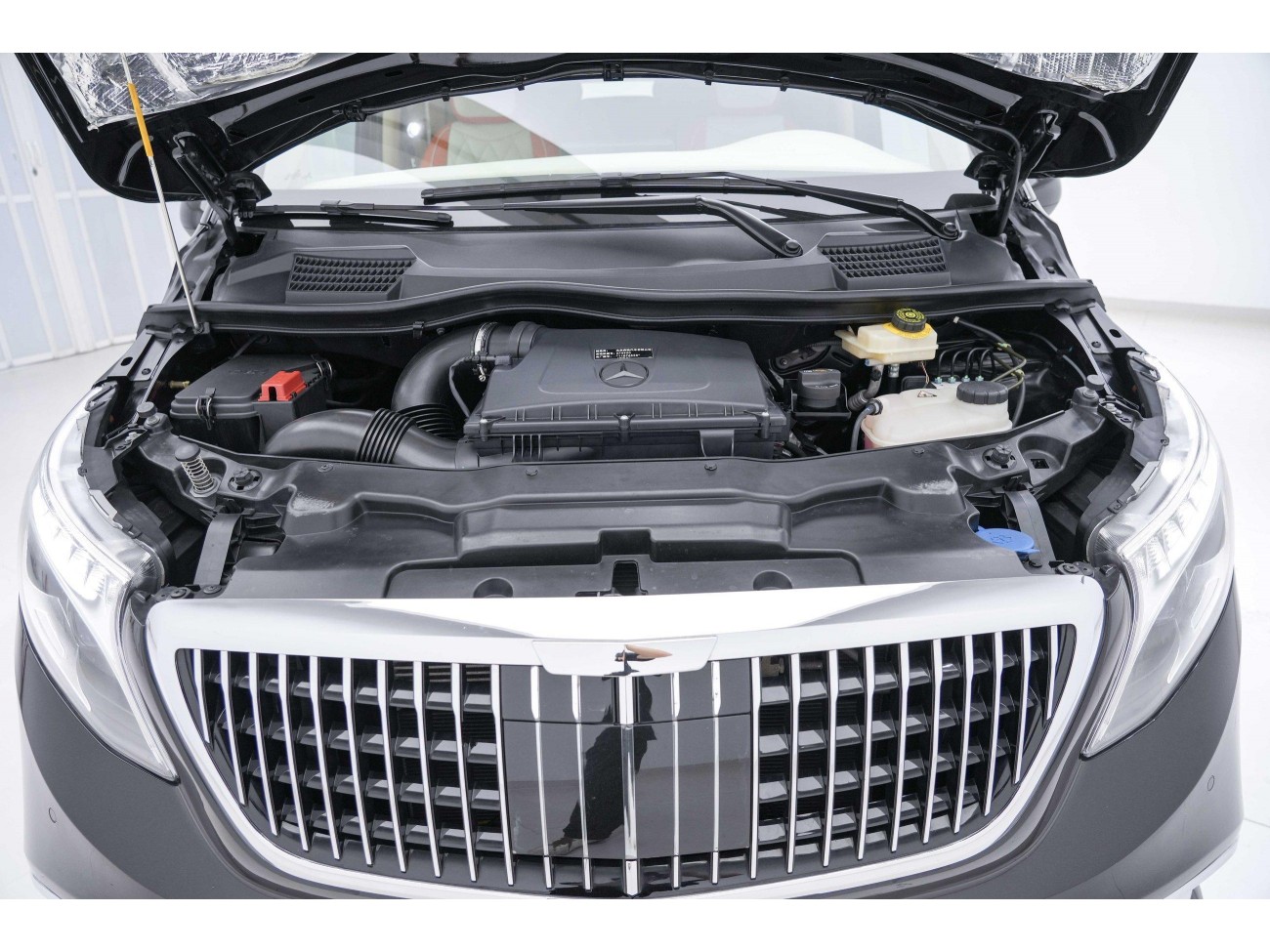 Mercedes-Benz 2021 2022