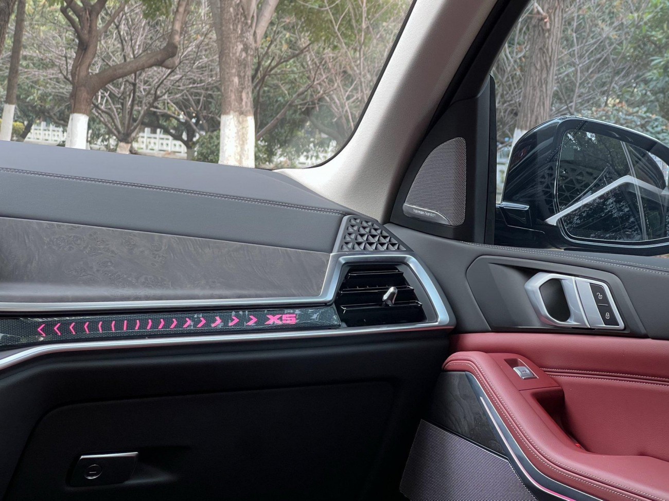 BMW X5 2025