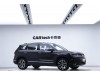 Volkswagen Tharu 2020