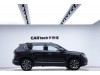 Volkswagen Tharu 2020