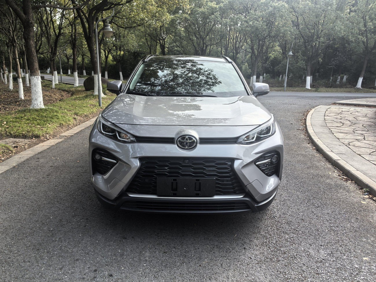 Toyota Wildlander 2024