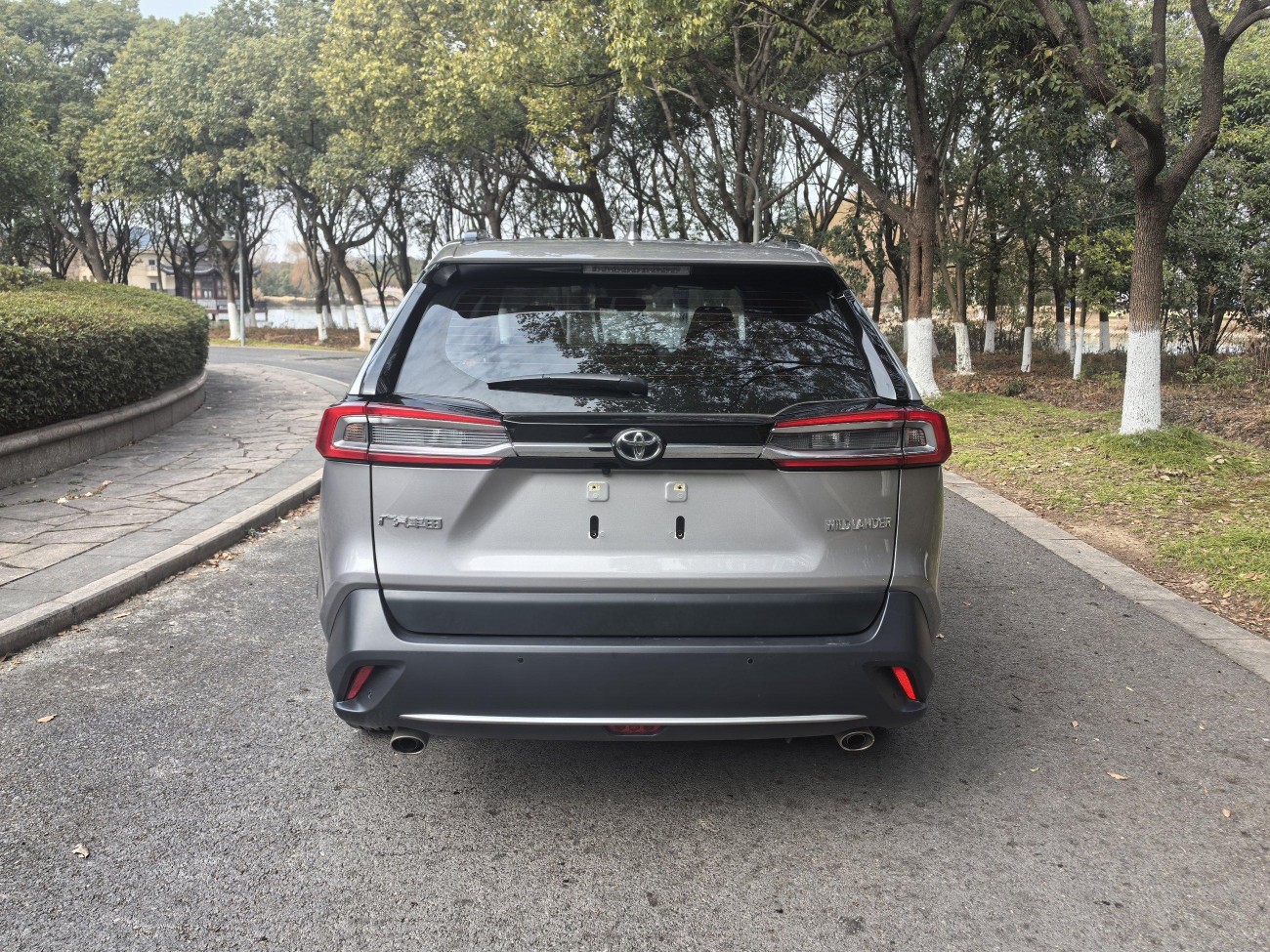 Toyota Wildlander 2024