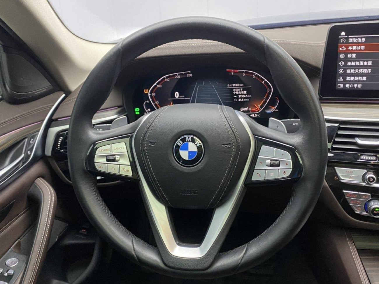 BMW 530Li 2023