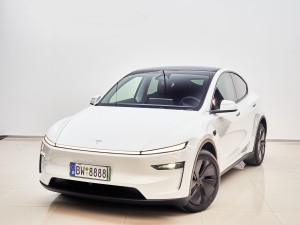 Tesla Model Y 2025