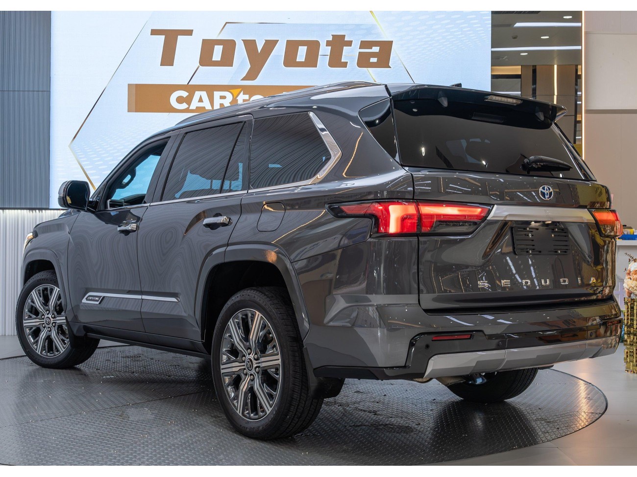 Toyota 2023 2024