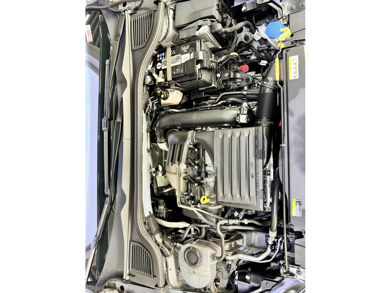 Volkswagen Golf 2024