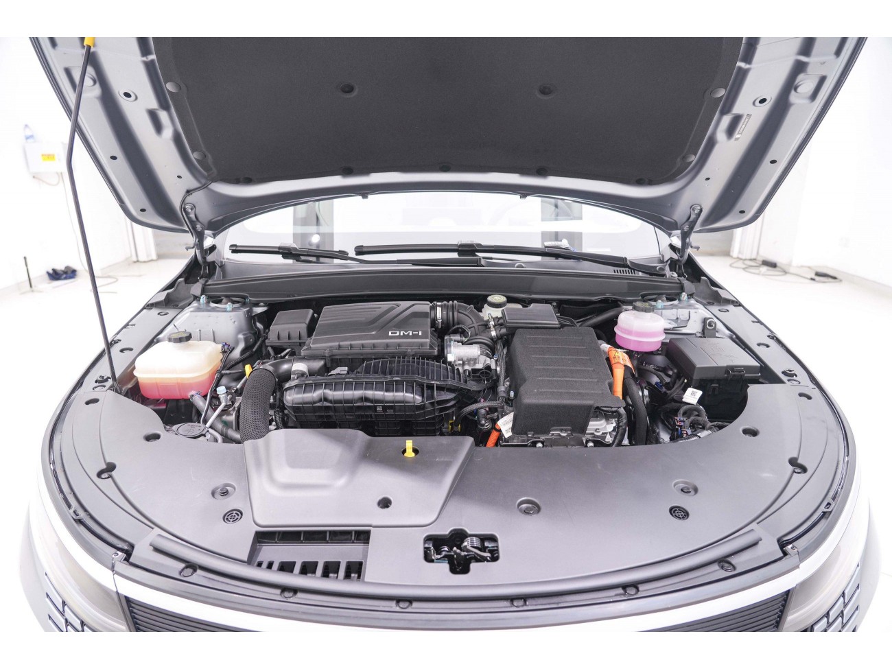 BYD Destroyer 05 2024