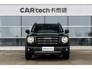 Haval Big Dog 2021
