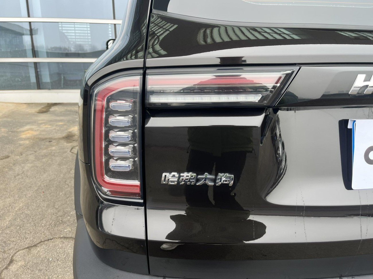 Haval Big Dog 2021
