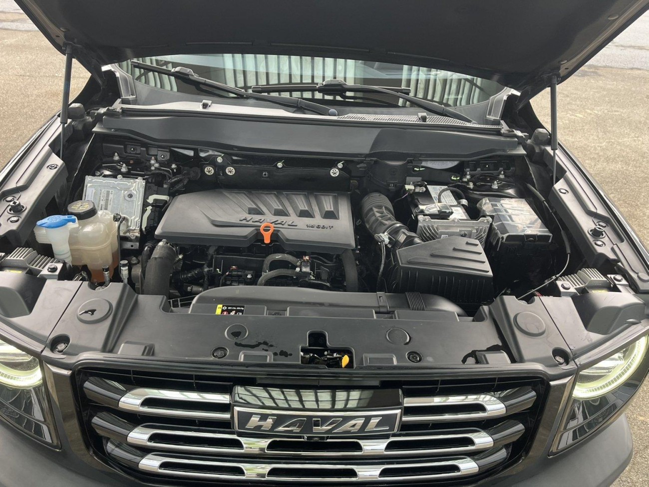 Haval Big Dog 2021