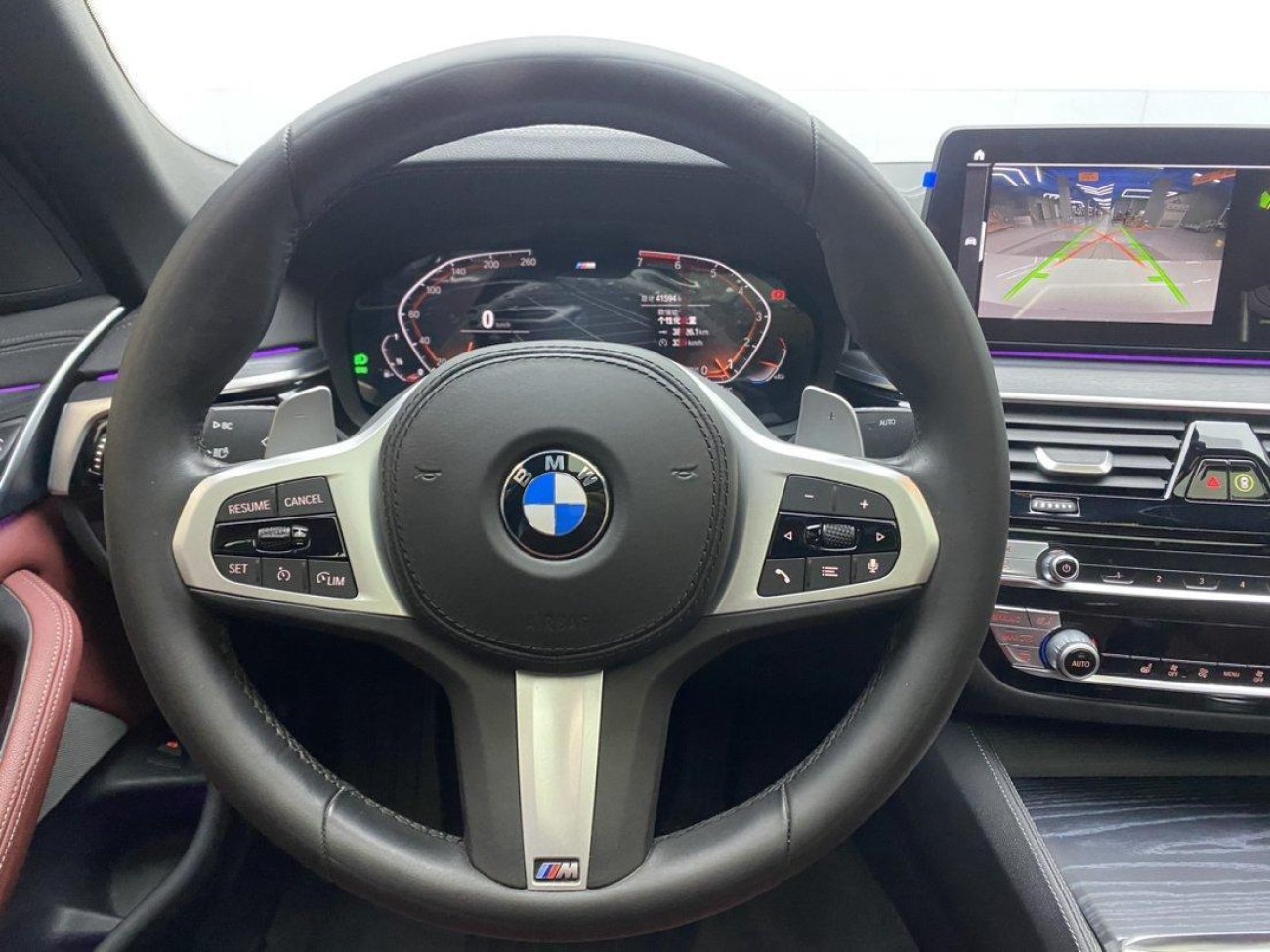 BMW 530Li 2021
