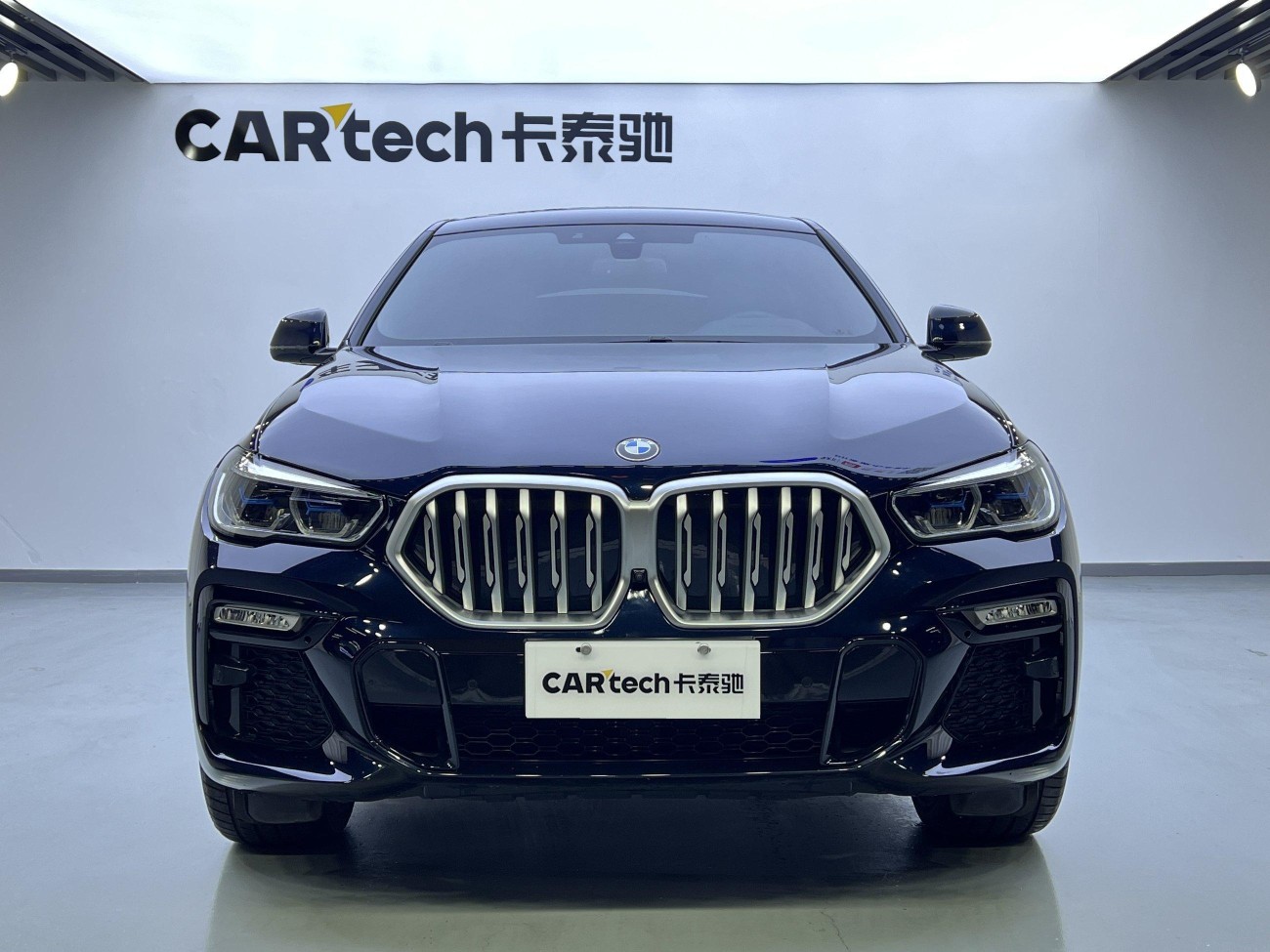 BMW X6 2022